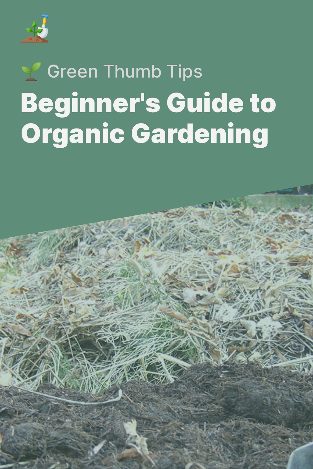 Beginner's Guide to Organic Gardening - 🌱 Green Thumb Tips