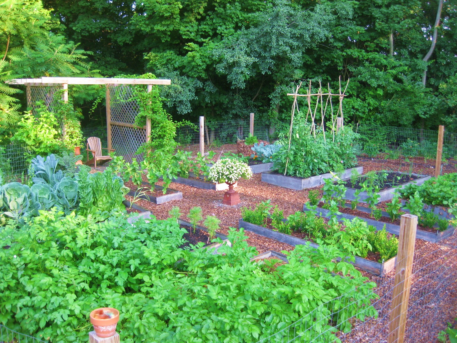 A gardener preparing the soil in a garden bed